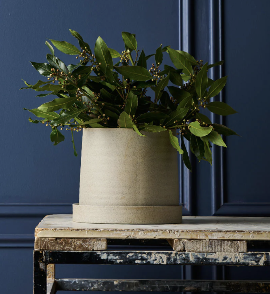 Planter